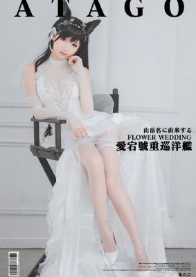电视剧神圣使命全集免费观看_BD在线视频观看