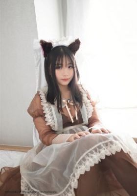懒猫的狮子倒影2_高清高清完整版