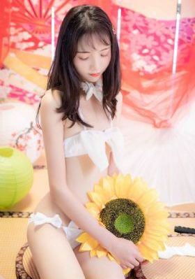台湾三及片_BD高清视频播放